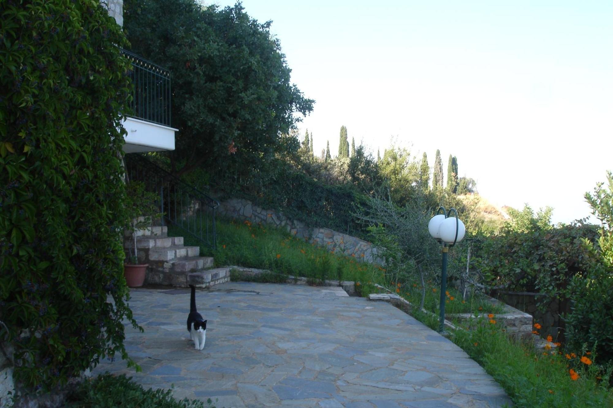 Mathia Apartments * Mathia
